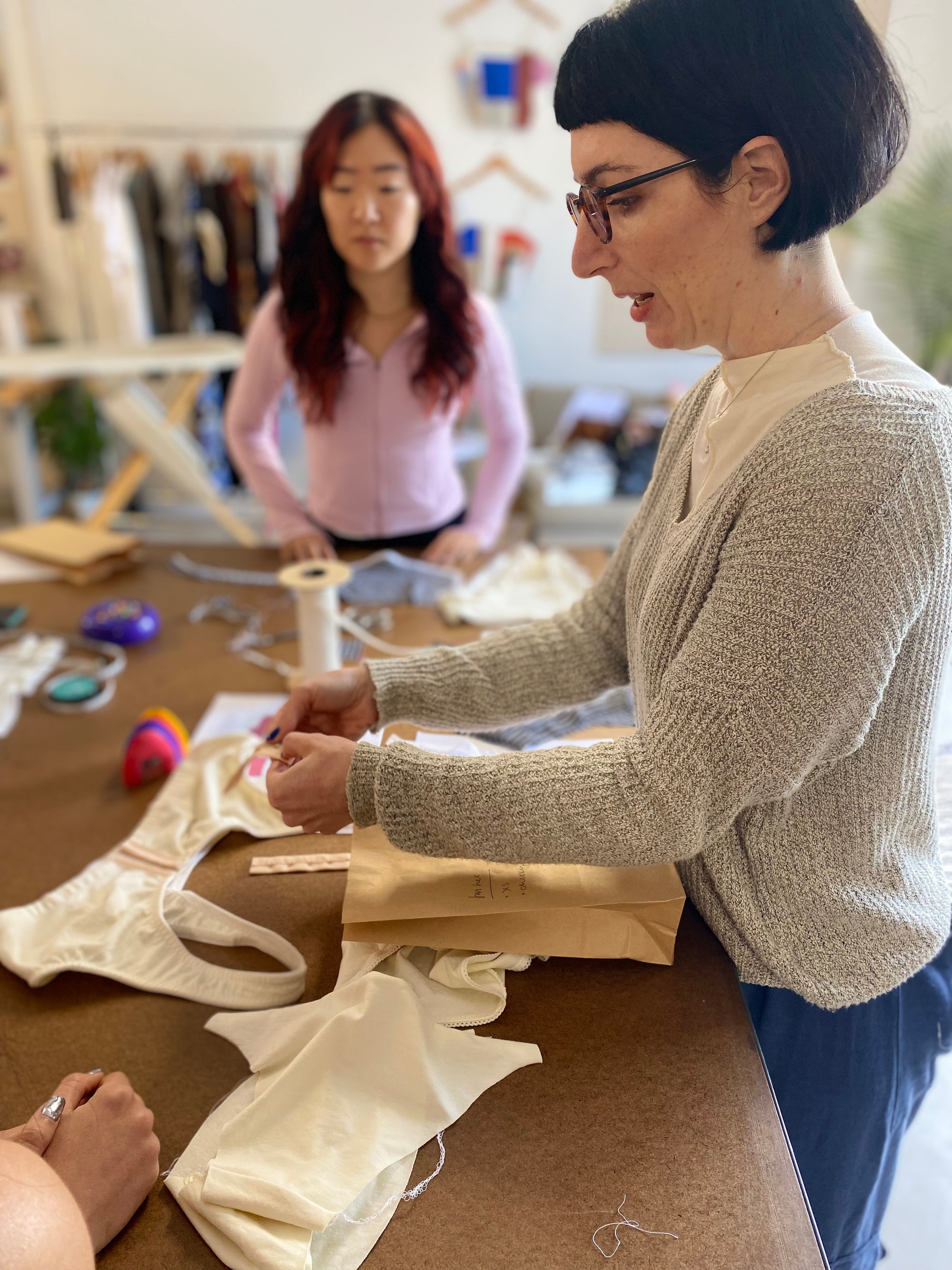 Bikini or Bra Set Workshop with Rose Ponizil