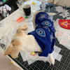 Dog Hoodie Workshop