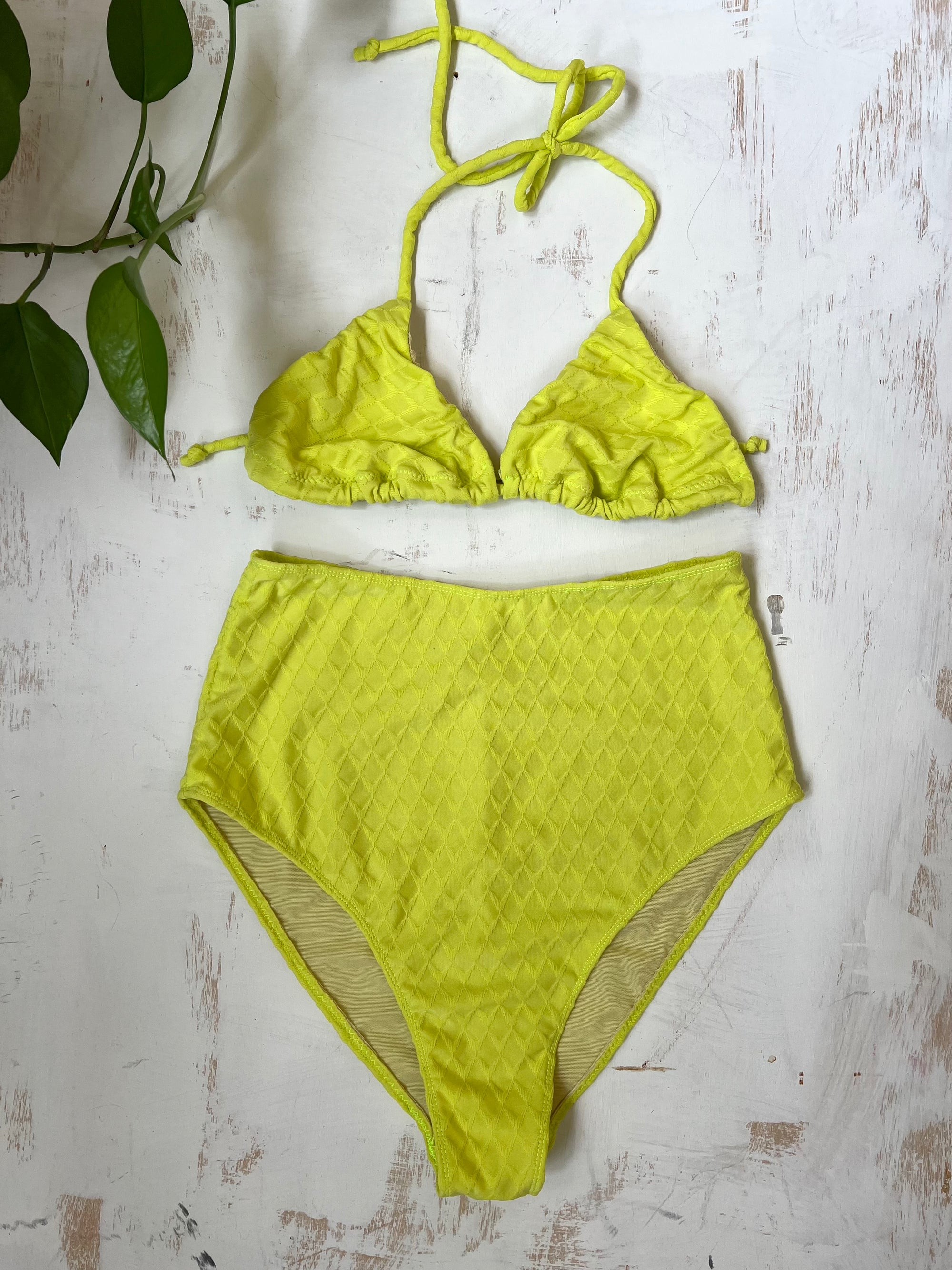 Bikini or Bra Set Workshop with Rose Ponizil