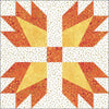 Block Party: 4 Week Quilting Series