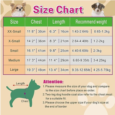 Dog Hoodie Workshop